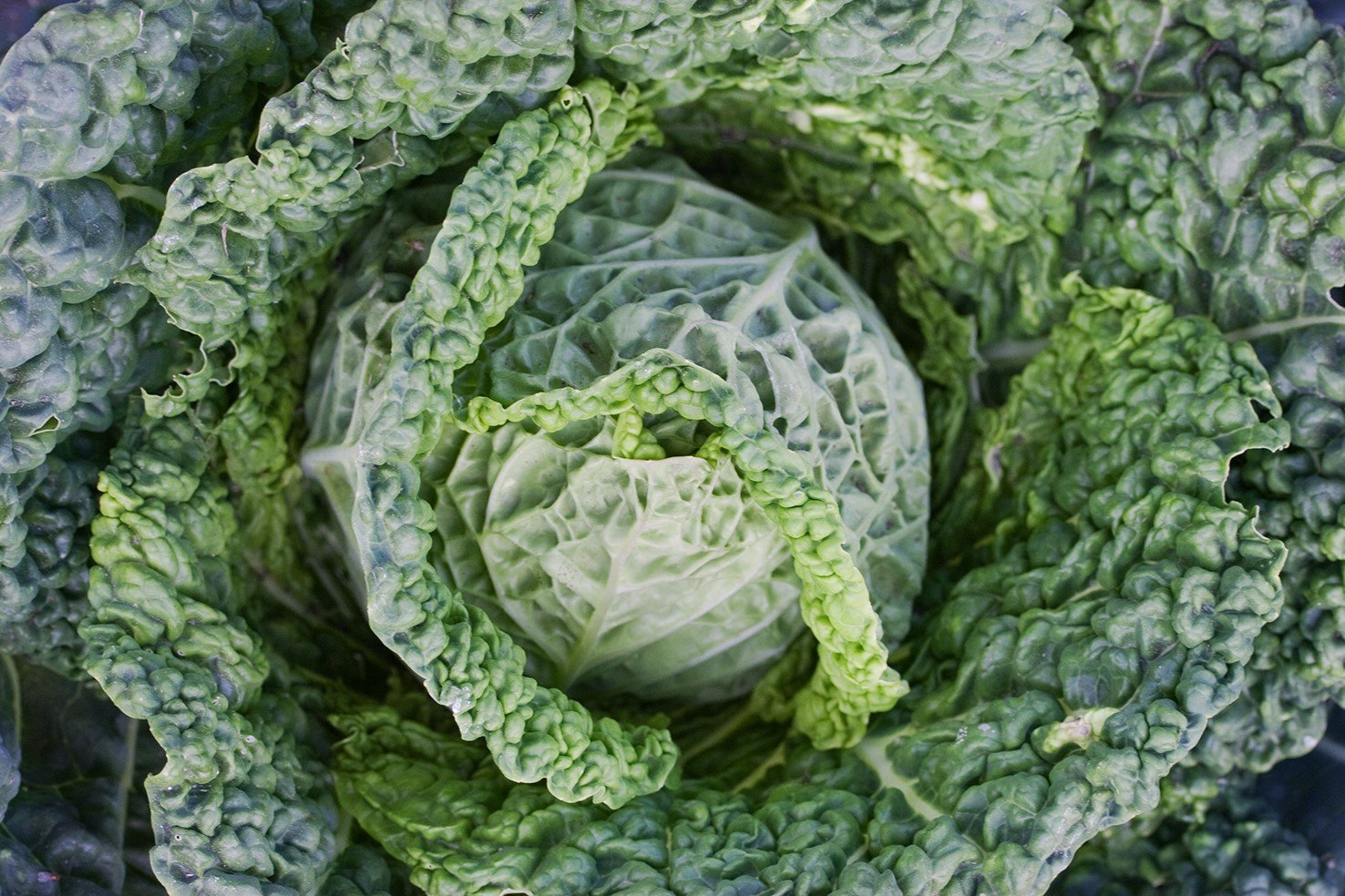 Let's talk about fruit and vegetables