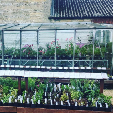 Chewing and swallowing difficulties